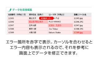 エラー箇所を赤字で表示。カーソルを合わせるとエラー内容も表示されるので、それを参考に画面上でデータを修正できます。