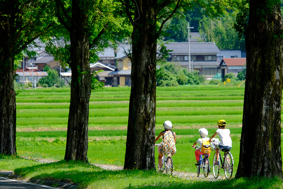 自転車の子供たち～滋賀県マキノ町～