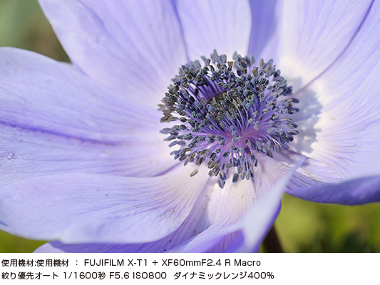 [写真]使用機材：FUJIFILM X-T1+XF60mmF2.4 R Macro 絞り優先オート 1/1600秒 F5.6 ISO800 ダイナミックレンジ 400％ 