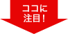 ココに注目!