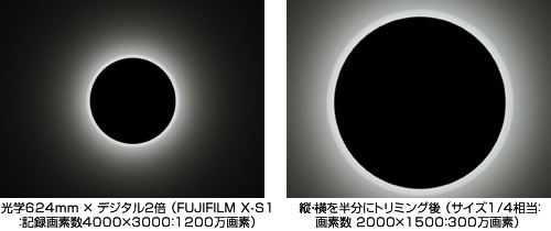 [写真]光学624mm × デジタル２倍 （FUJIFILM X-S1：記録画素数4000×3000：1200万画素）縦・横を半分にトリミング後 （サイズ1/4相当：画素数 2000×1500：300万画素）