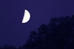 [写真]大きな月と木や建物を一緒に撮りたい